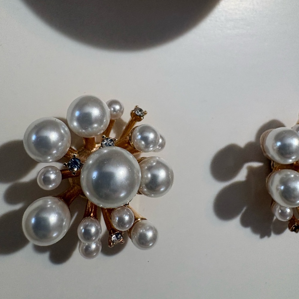 Kate Spade earrings